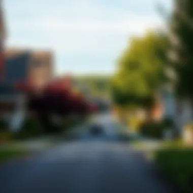Charming suburb streets lined with trees and homes