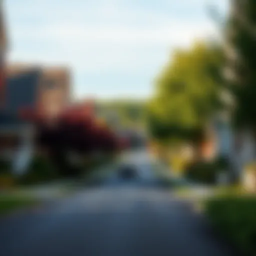 Charming suburb streets lined with trees and homes