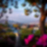 A Scenic Overview of San Mateo Park Charming San Mateo Park neighborhood view