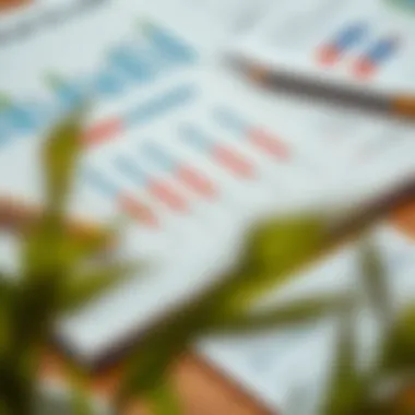 Financial Management for Rental Success A well-organized financial planner with graphs and rental income