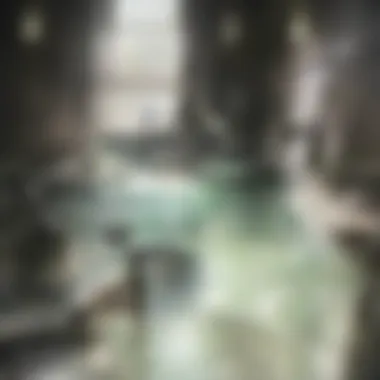 Reflections of Serenity: A Kitchen Sink and Natural Light Elegant kitchen sink with clear water reflecting natural light