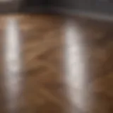 Elegant hardwood floor with natural light