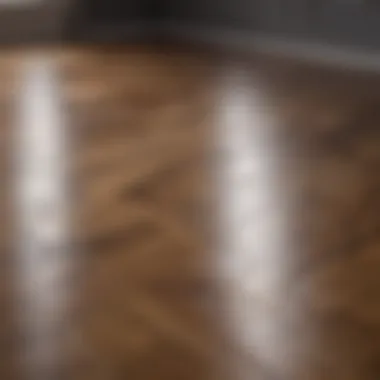 Elegant hardwood floor with natural light
