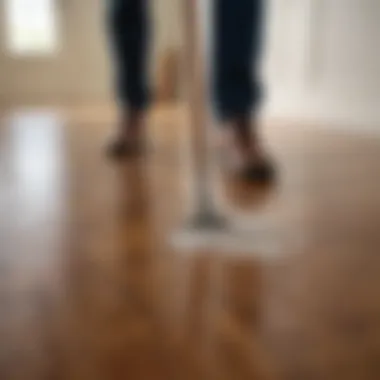 Technique for Applying Cleaning Solution on Hardwood Technique for applying cleaning solution on hardwood
