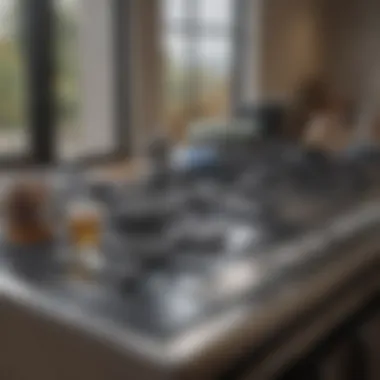 Cleaning and maintenance supplies beside a glass top stove