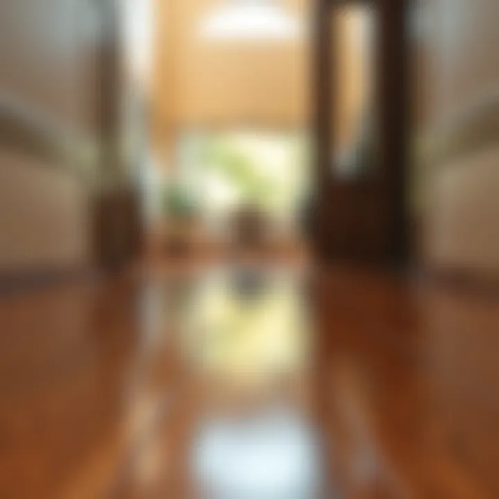 Shiny Hardwood Floor Close-up of a clean hardwood floor with a natural shine