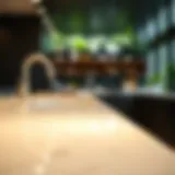 A clean countertop showcasing the difference between cleaning and sanitizing.
