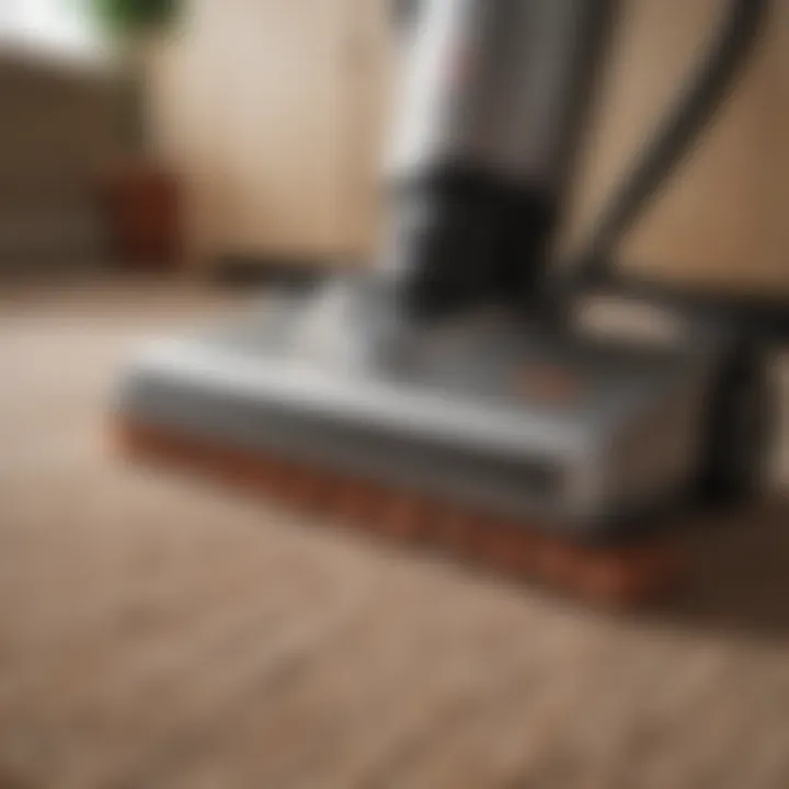 Close-up of a carpet being deep cleaned with a professional machine