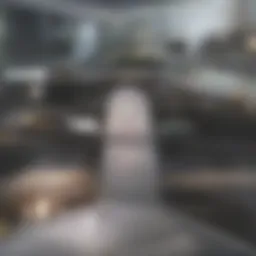 Visual representation of credit score metrics