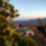 An aerial view of a secluded property highlighting its privacy.