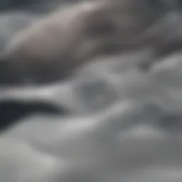 Luxurious duvet blanket showcasing intricate patterns