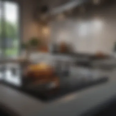 Demonstrating energy-efficient features of a glass cooktop oven