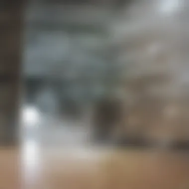 Cleaning Methods: Traditional vs. Steam Mopping Comparison of conventional cleaning methods versus steam mopping