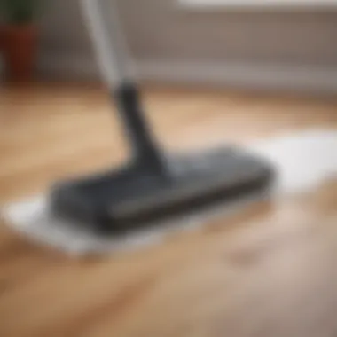 Infographic summarizing pros and cons of steam mopping waterproof laminate