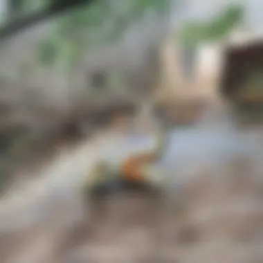 A clean drain after using a plumbing snake, showcasing successful removal