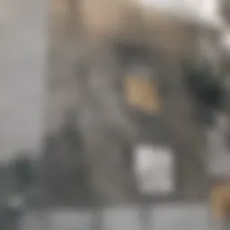 Different types of wall anchors displayed for hanging pictures