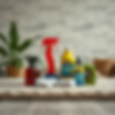 Rug Cleaning Products Selection of cleaning products for rugs