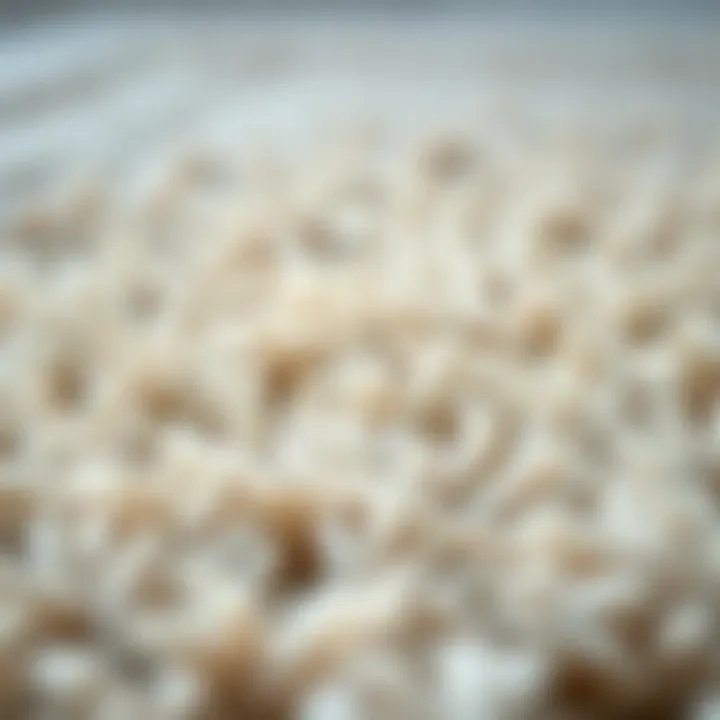 Textured Rug Fibers Close-up of rug fibers showing texture