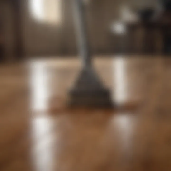 A detailed close-up of a hardwood floor being cleaned