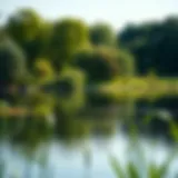 A serene view of Washington Park's lake surrounded by vibrant greenery.