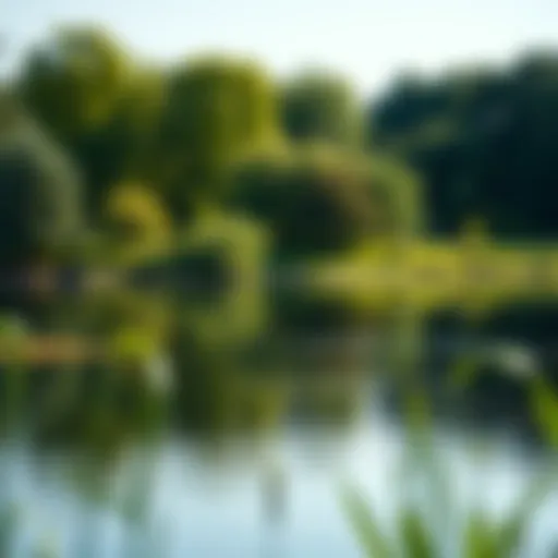 A serene view of Washington Park's lake surrounded by vibrant greenery.