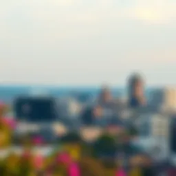 Scenic view of Washington, DC skyline