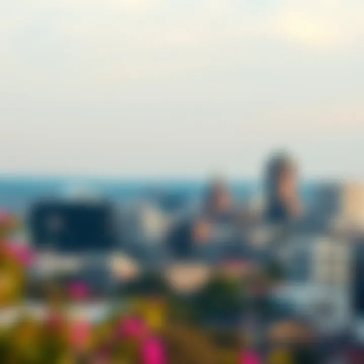 Scenic view of Washington, DC skyline